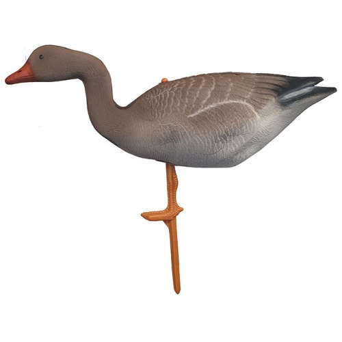 Муляж прямосмотрящего гуся (гуменник -