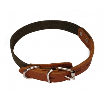 Ошейник 25мм/50см (брезент/кожа) ЛОТУС