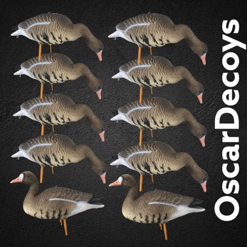 Комплект муляжей гусь Белолобый 10шт (2 сторож, 8 корм) съемные головы, мягкий пластик OSCAR DECOYS  (ESG10)