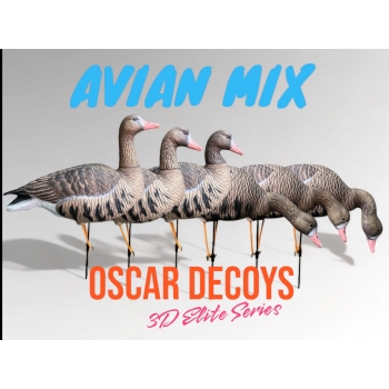 Комплект муляжей 6шт гусь Белолобый 6шт (1 сторож, 3 корм, 2 отдых) съемные головы, мягкий пластик OSCAR DECOYS  (ESG6)