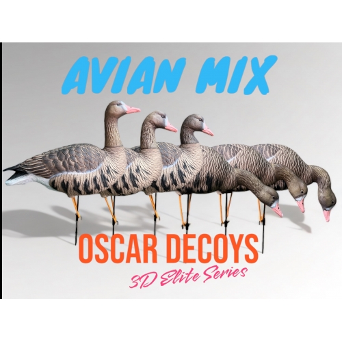 Комплект муляжей 6шт гусь Белолобый 6шт (1 сторож, 3 корм, 2 отдых) съемные головы, мягкий пластик OSCAR DECOYS  (ESG6)