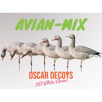 Комплект муляжей 6шт гусь Серый 6шт (1 сторож, 3 корм, 2 отдых) съемные головы, мягкий пластик OSCAR DECOYS  (ELG6)