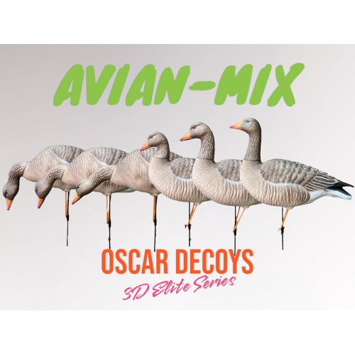 Комплект муляжей 6шт гусь Серый 6шт (1 сторож, 3 корм, 2 отдых) съемные головы, мягкий пластик OSCAR DECOYS  (ELG6)