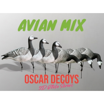Комплект муляжей 6шт гусь Казарка 6шт (1 сторож, 3 корм, 2 отдых) съемные головы, мягкий пластик OSCAR DECOYS  (EBG6)