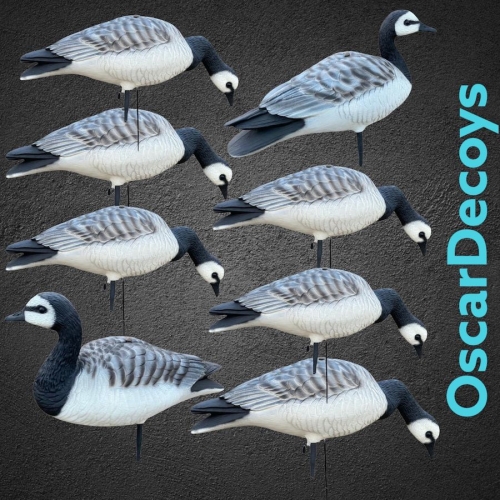 Комплект муляжей гусь Казарка 10шт (2 сторож, 8 корм) съемные головы, мягкий пластик OSCAR DECOYS  (EBG10)