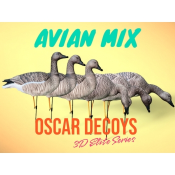 Комплект муляжей 6шт гусь Гуменник 6шт (1 сторож, 3 корм, 2 отдых) съемные головы, мягкий пластик OSCAR DECOYS  (EGG6)
