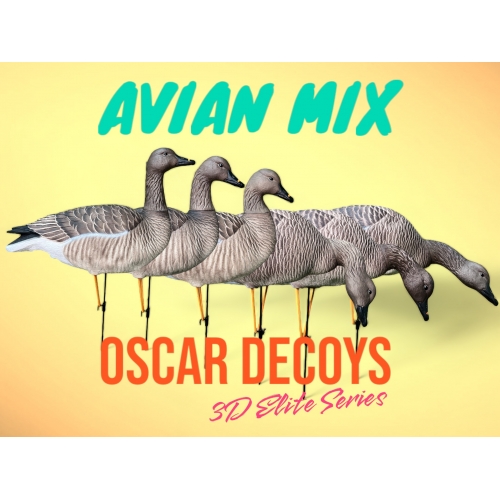 Комплект муляжей 6шт гусь Гуменник 6шт (1 сторож, 3 корм, 2 отдых) съемные головы, мягкий пластик OSCAR DECOYS  (EGG6)